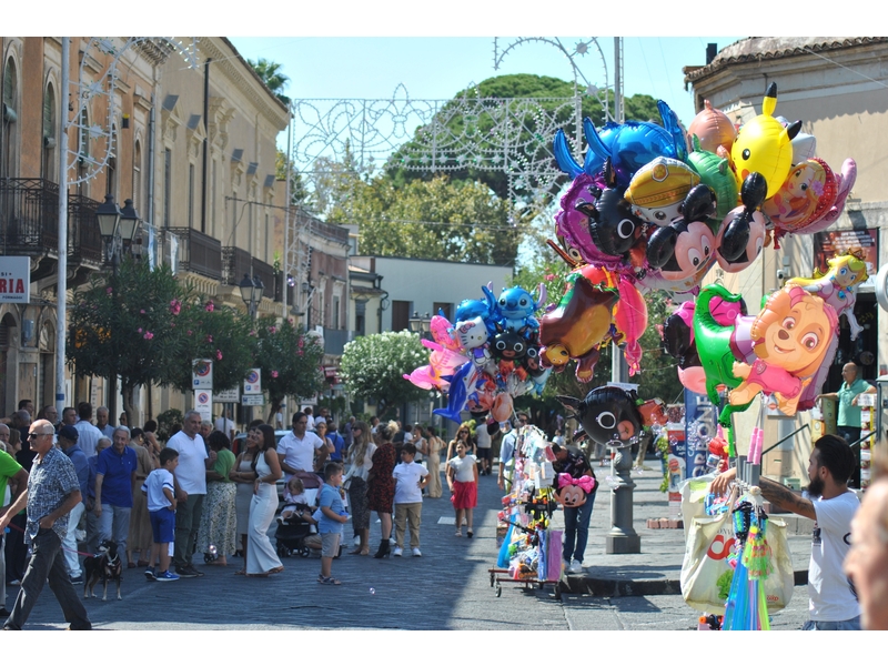 DSC_0017